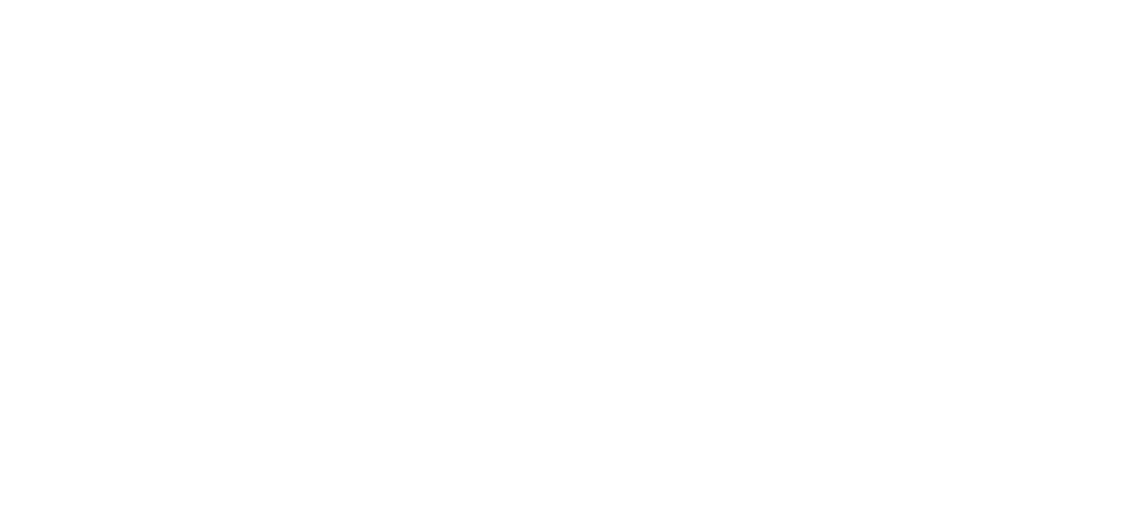 Logo Sur Origen